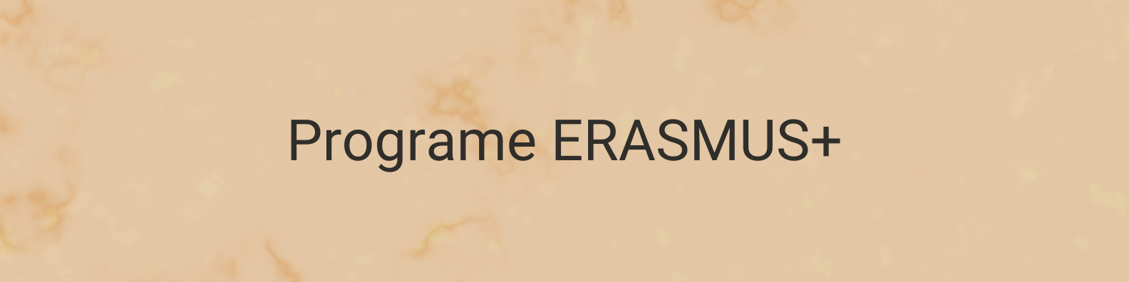 Programe ERASMUS+